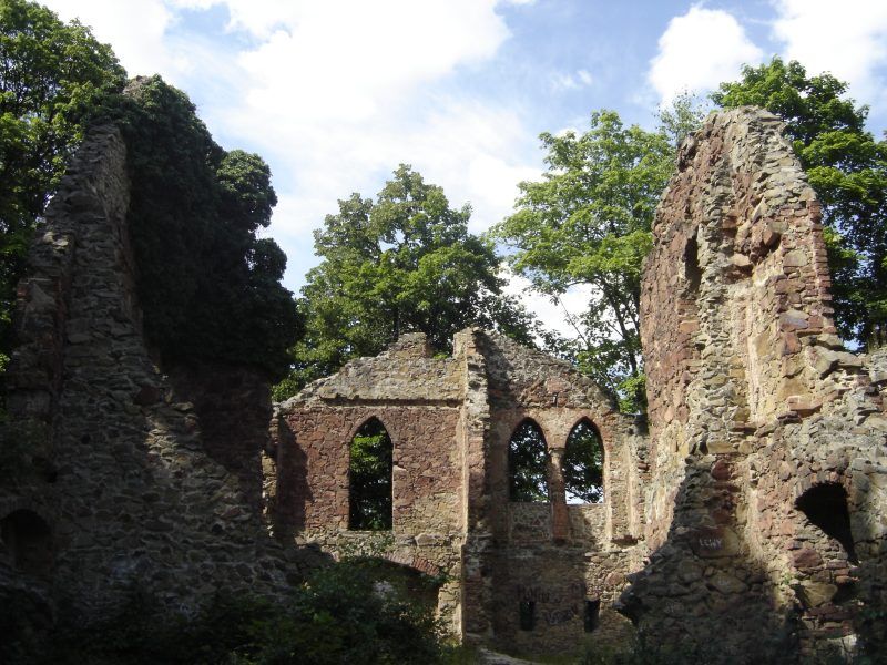 zdjęcie wykonane w środku ruin zamku