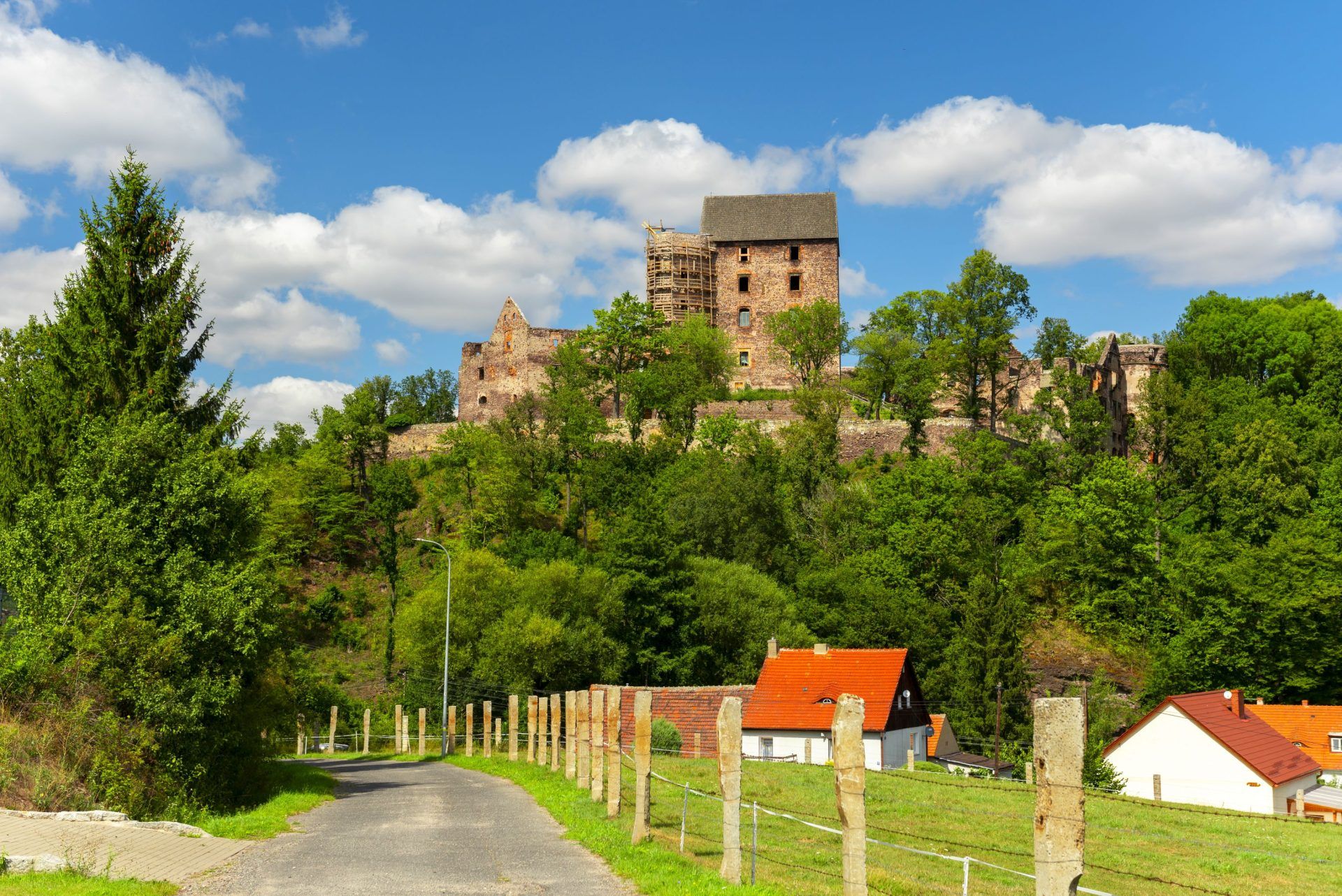 Widok na Zamek Świny z oddali