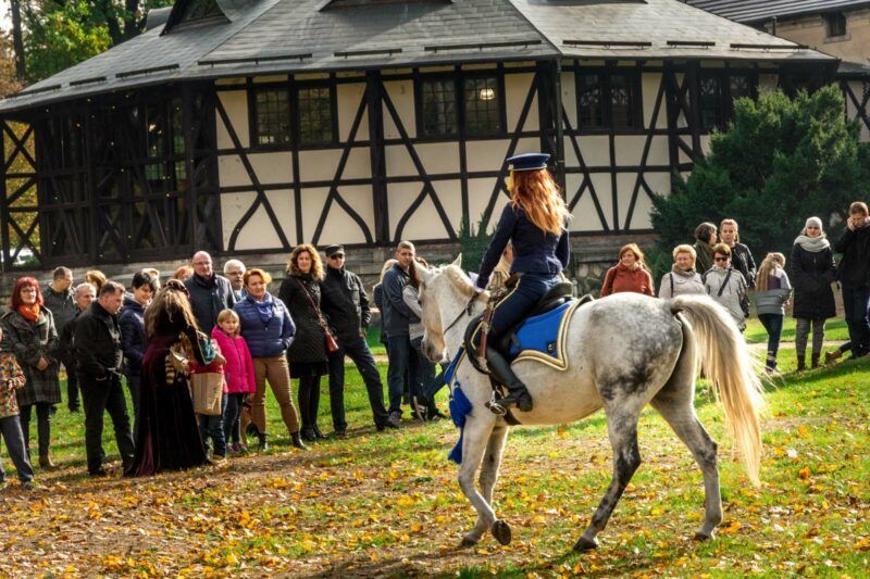 Jeździec na białym koniu prezentujący się przed publicznością