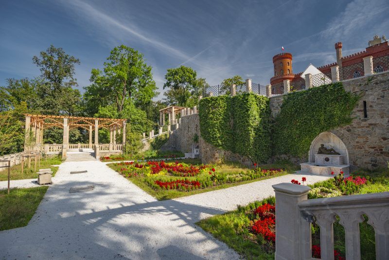 Kwitnące róże na terenie ogrodu przy Pałacu Marianny Orańskiej