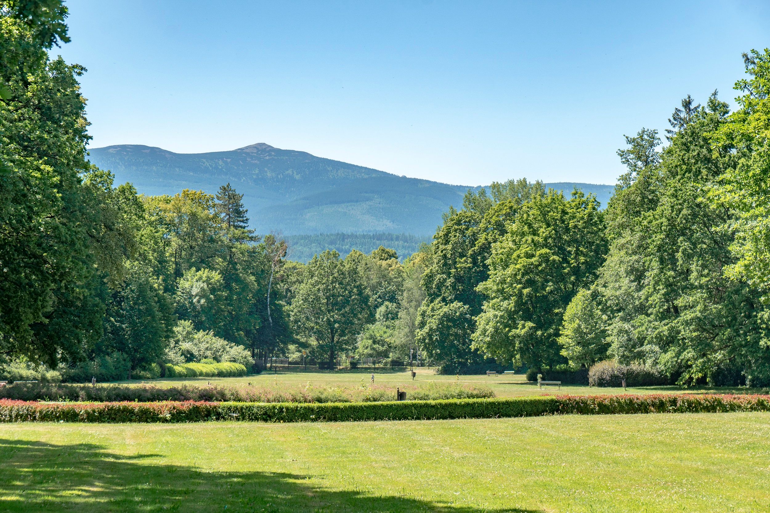 Widok na góry, wśród przyrody.