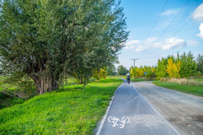 Asfaltowa, prosta trasa rowerowa z zadbanym trawnikiem i drzewem po lewej stronie