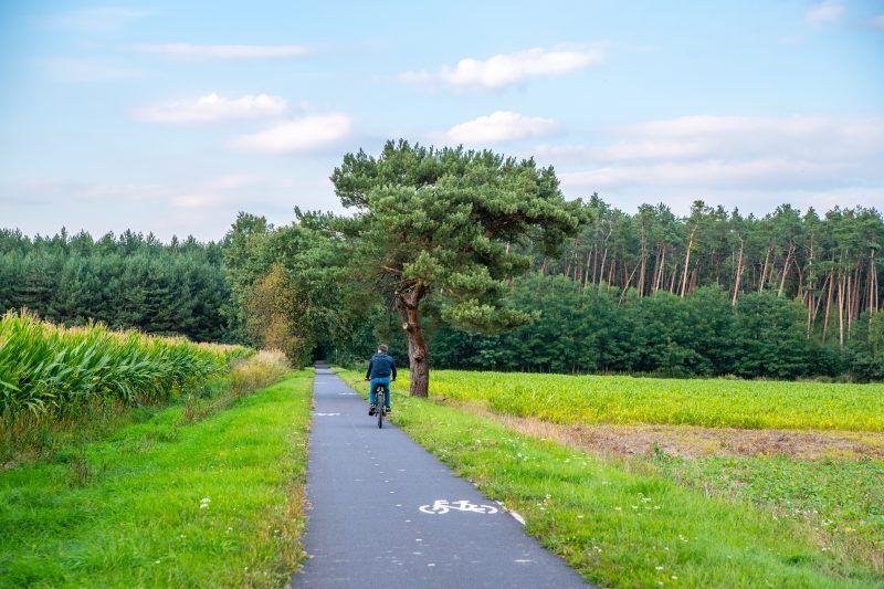 Wyasfaltowana trasa rowerowa z widocznym jadącym po niej rowerzystą w otoczeniu łaki i lasu na dalszym planie
