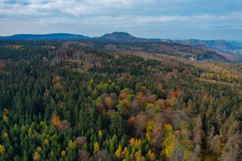 Widok na wzniesienie górskie i otaczający wszystko las