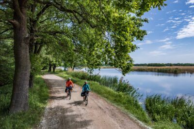 Ludzie jadący na rowerach po drodze gruntowej utwardzonej pomiędzy lasem a zbiornikiem wodnym 