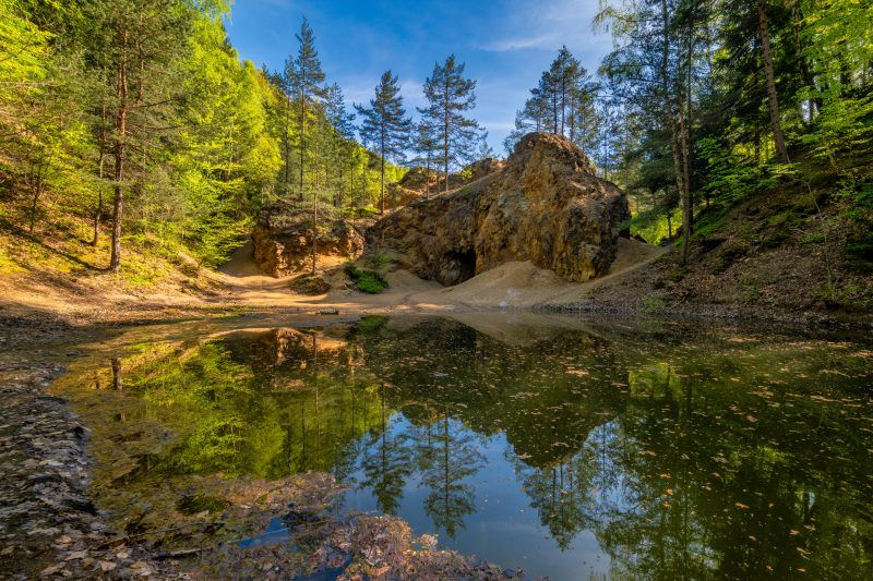 Widok na jeziorko, wśród przyrody.