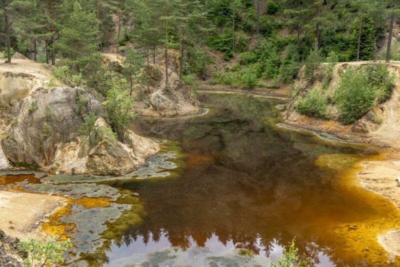 Widok na jeziorko, wśród przyrody.