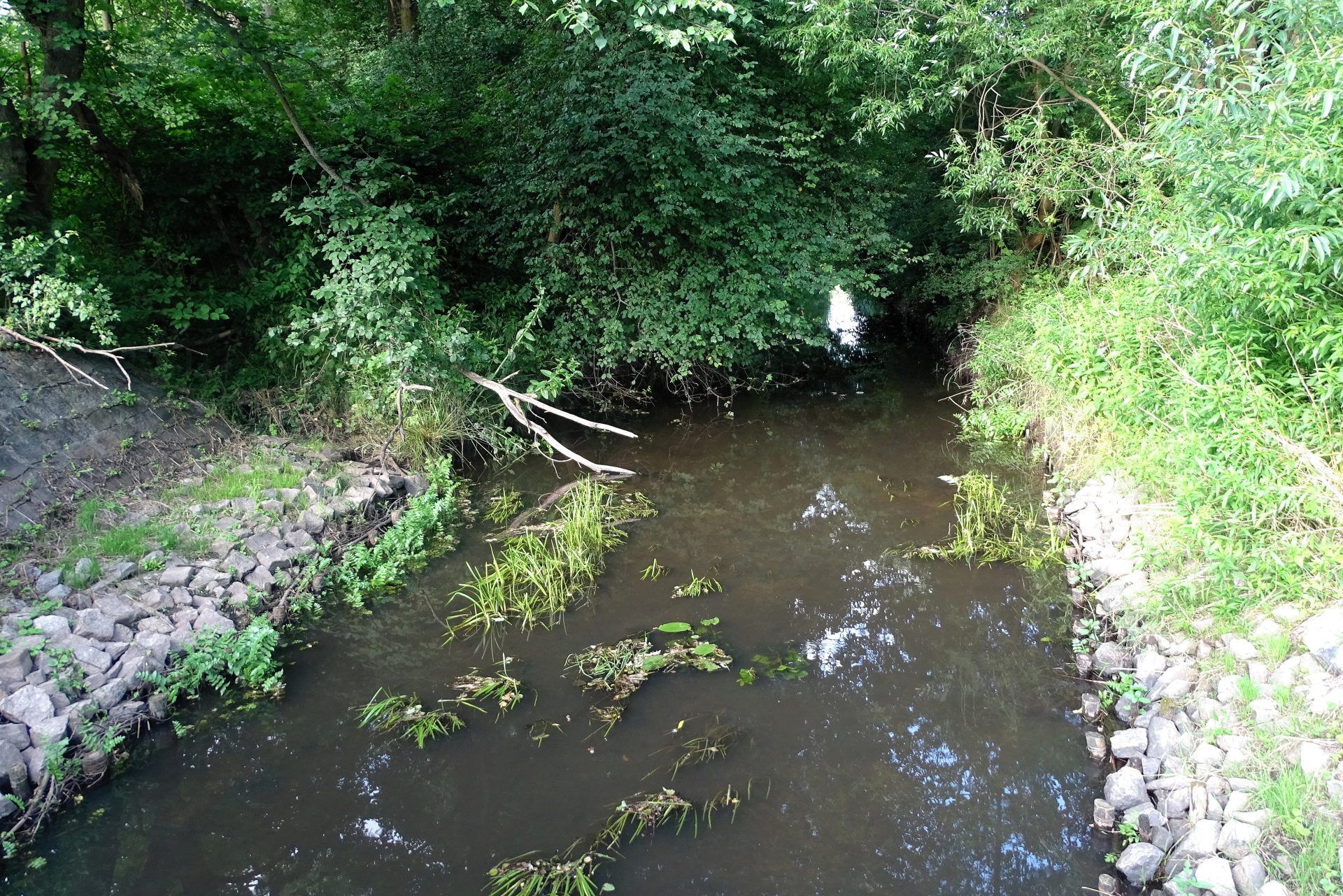 Widok na bardzo wąską rzekę z bliska