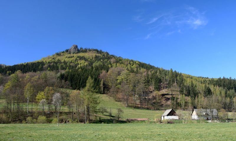 widok na górę wykonane w bezchmurny dzień