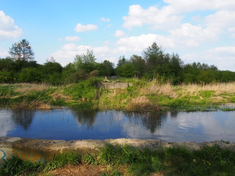 widok od boku na wąska rzekę a w tle znajduję się las