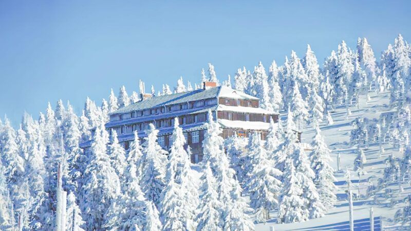 Widok na ośnieżone schronisko wśród drzew.