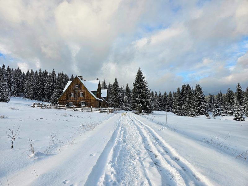 widok na ośnieżoną drogę obok której po lewej stronie znajduję się drewniane schronisko