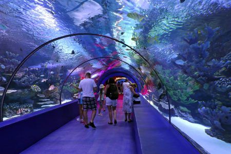 Korytarz we wrocławskim Afrykarium