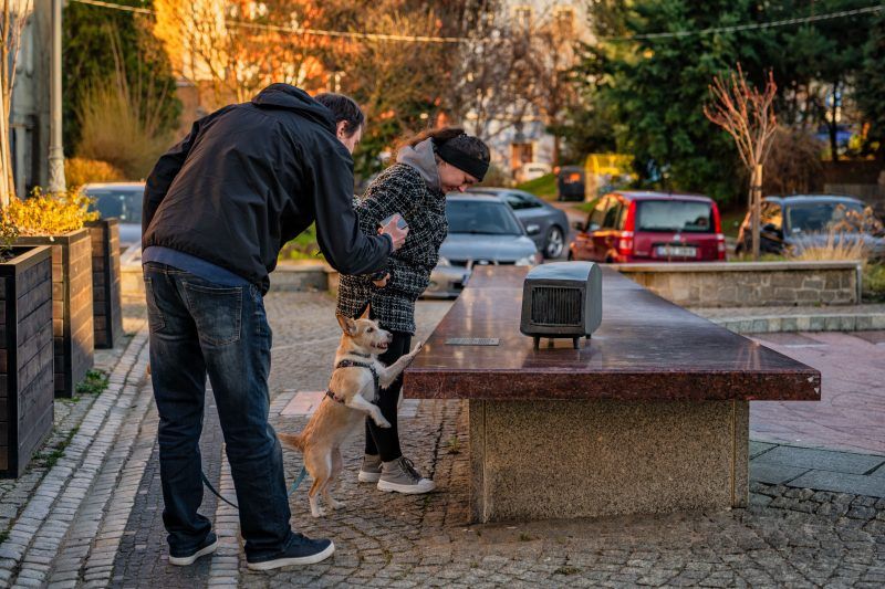 Dwoje ludzi czytający tabliczkę przy radio.