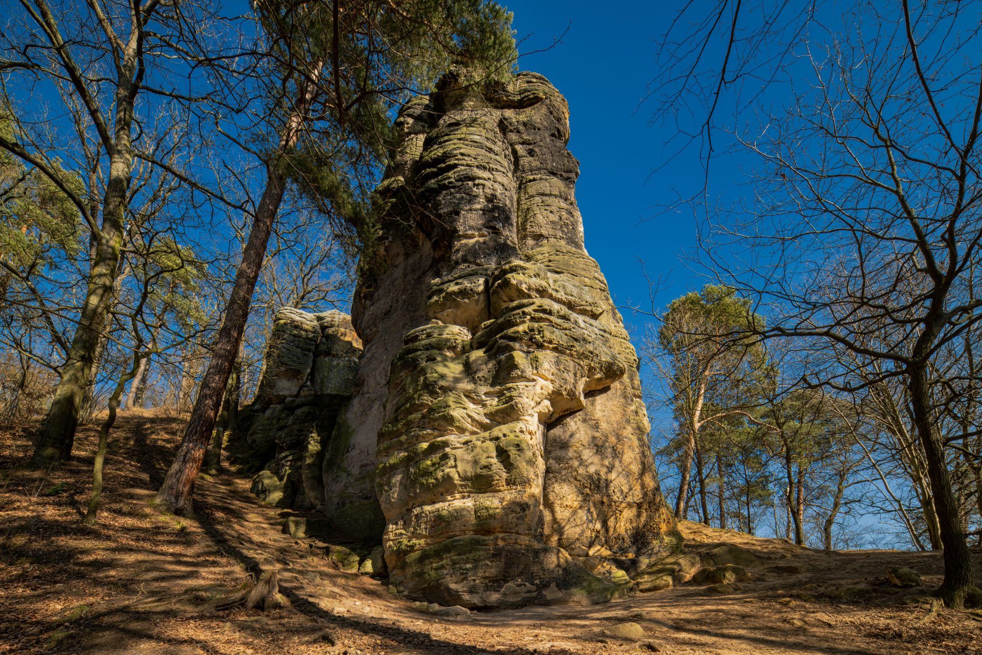 Na zdjęciu widać majestatyczną, 14-metrową piaskowcową skałę, wznoszącą się samotnie na tle zielonego krajobrazu. U jej południowego zbocza znajduje się medalion z wizerunkiem cesarza Wilhelma I.