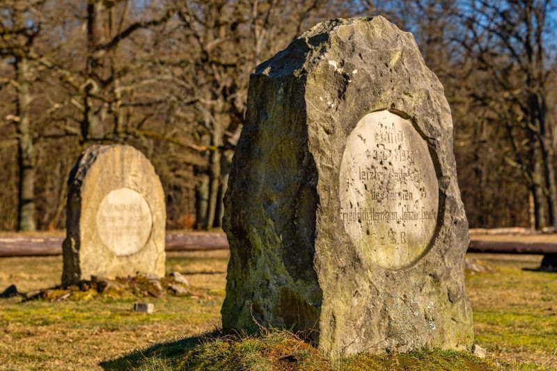 Dwa nagrobki na tle drzew.