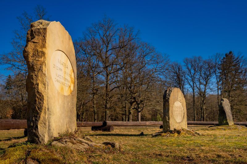 Nagrobki na tle zimowych drzew oraz błękitnego nieba.