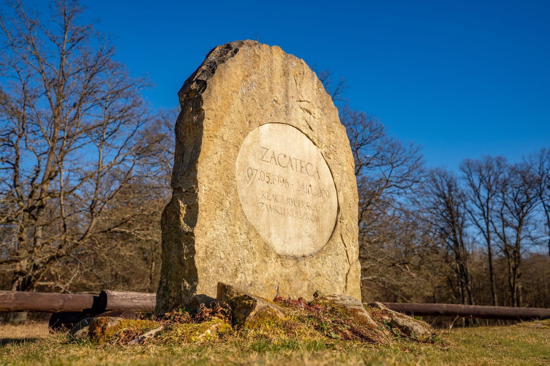 Nagrobek poświęcony klaczy Zacateca, w tle zimowe drzewa oraz błękitne niebo.