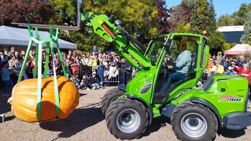 koparka podnosząca dynię na tle zgromadzonej publiczności i turystów
