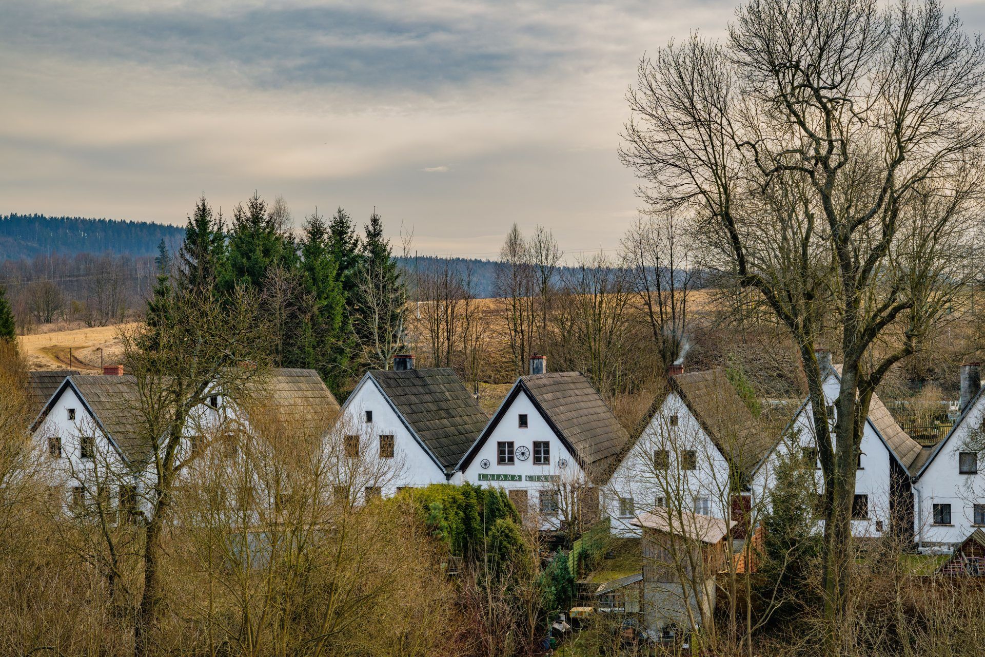 Drewniane domki Dwunastu Apostołów w Chełmsku Śląskim stoją w szeregu, z ciemnymi, szachulcowymi ścianami i spadzistymi dachami, otoczone drzewami, z chmurzystym niebem w tle.