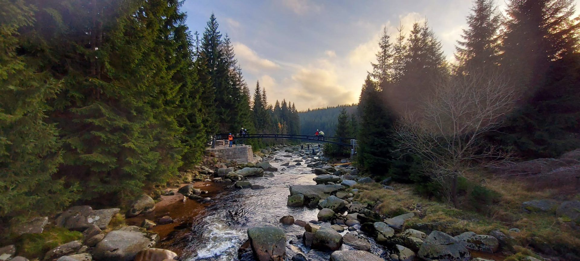 zdjęcie o zachodzie słońca. na środku zdjęcia znajduje się rzeka, która rozdziela na pół las