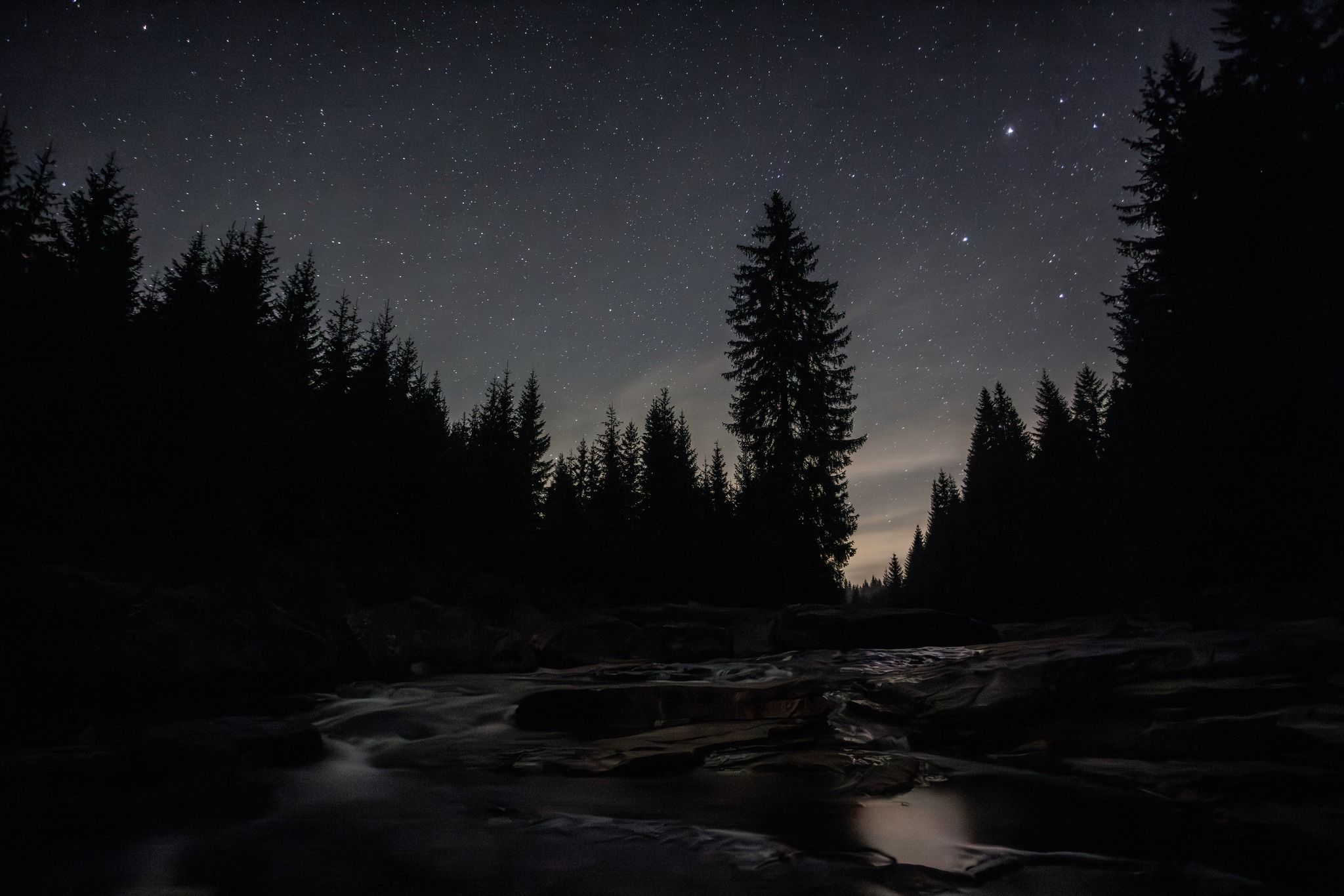 zdjecie w ciemnosci w parku otoczonym drzewami z mnóstwem gwiazd