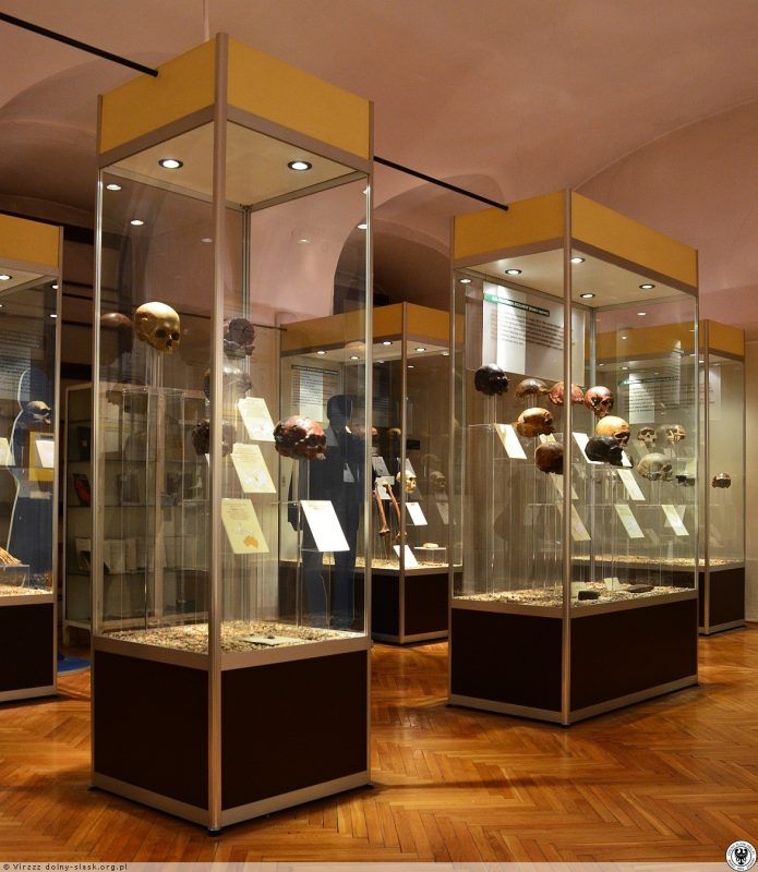 szklane kolumny z ludzkimi czaszkami