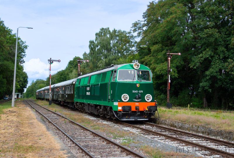 Zdjęcie pociągu stojącego na peronie.