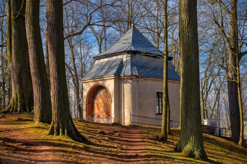 Na zdjęciu widać imponującą bazylikę w wznoszącą się na wzgórzu.