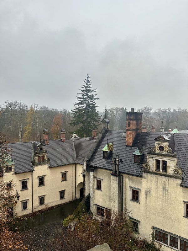 Widok z wieży Jenny