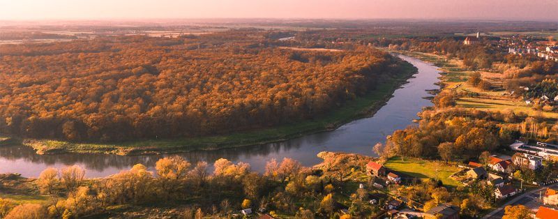 Panoramiczny widok z lotu ptaka na Odrę oraz lasy