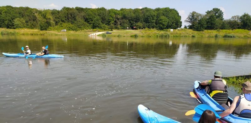Zdjęcie kilku kajaków spływających po rzece