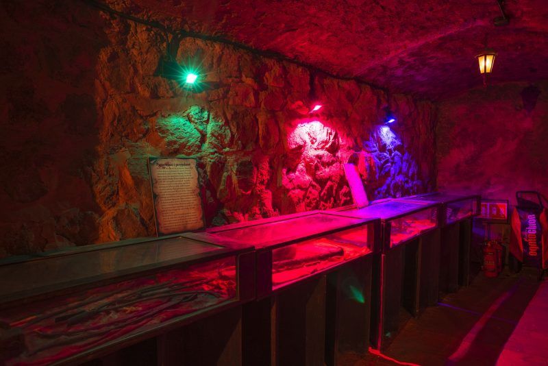 Oświetlona kolorowymi światłami wystawa wewnątrz zamku