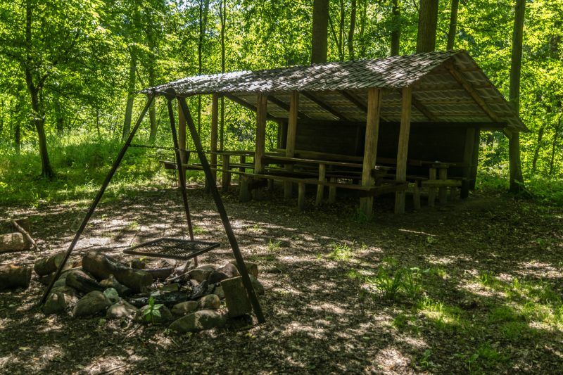 Drewniana, zadaszona wiata wraz z miejscem na grill położona w środku lasu