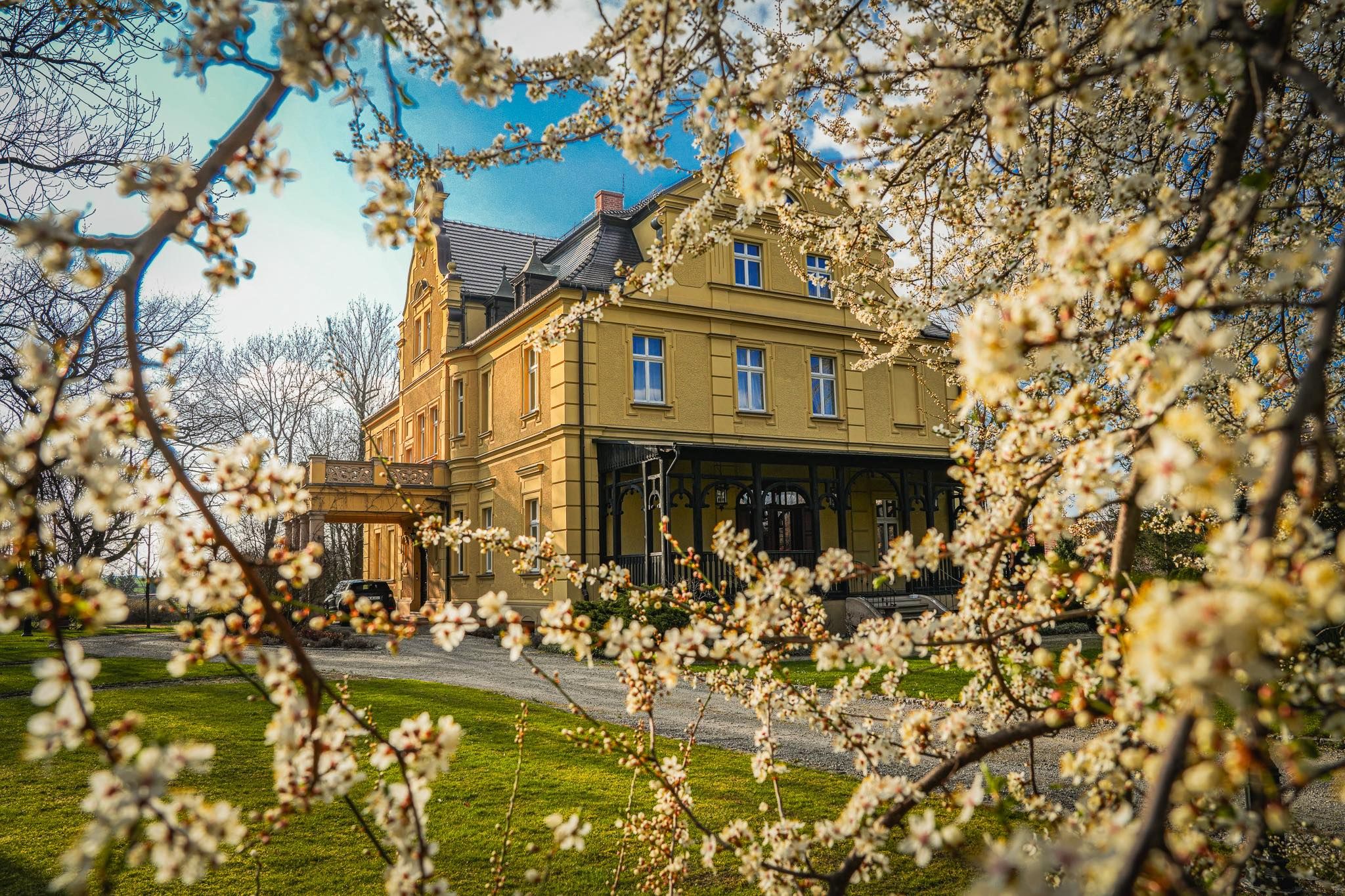 Żółty budynek Pałacu Gruszów widoczny zza kwitnących na gałęziach kwiatów