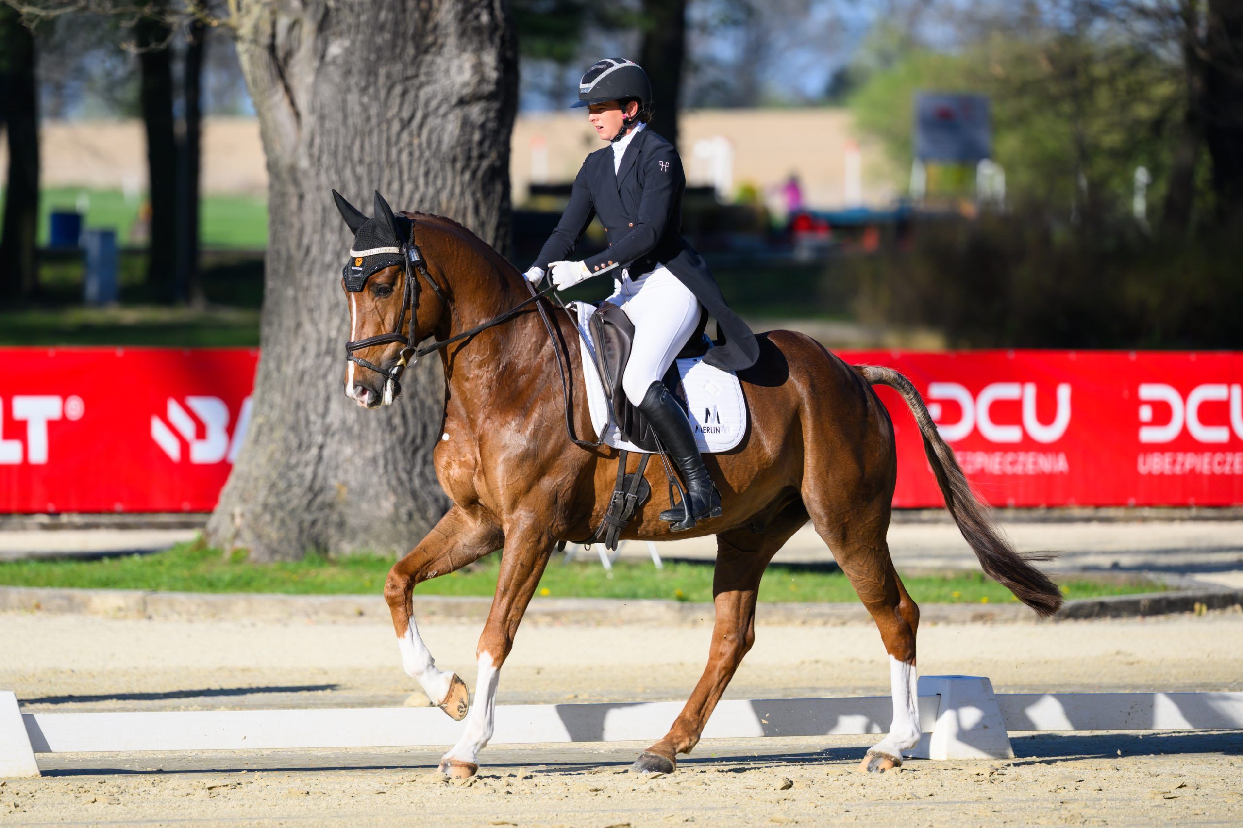 Zdjęcie kobiety na koniu