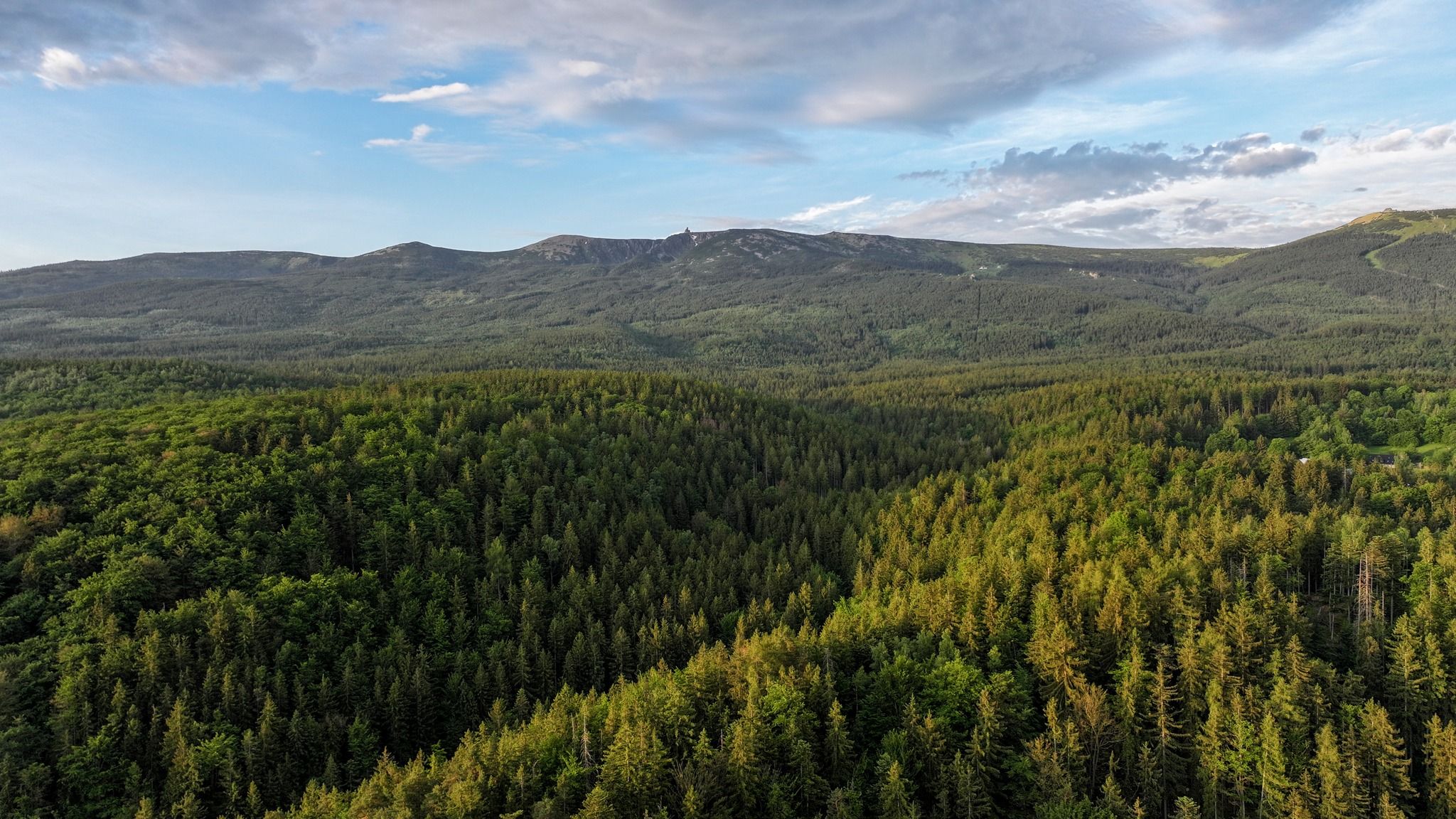 Widok z drona na lasy pokrywające Karkonosze
