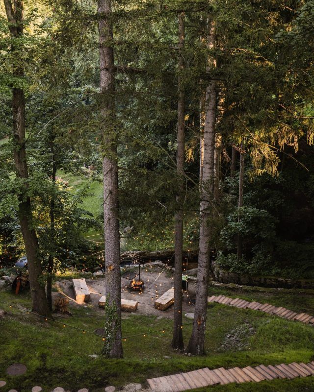 Widoczne z wysokości miejsce na organizacje ognisk położone na skraju lasu.