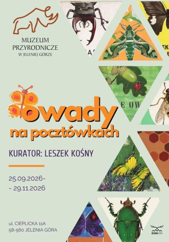 Plakat promujący wystawę Owady na Pocztówkach w Jeleniej Górze