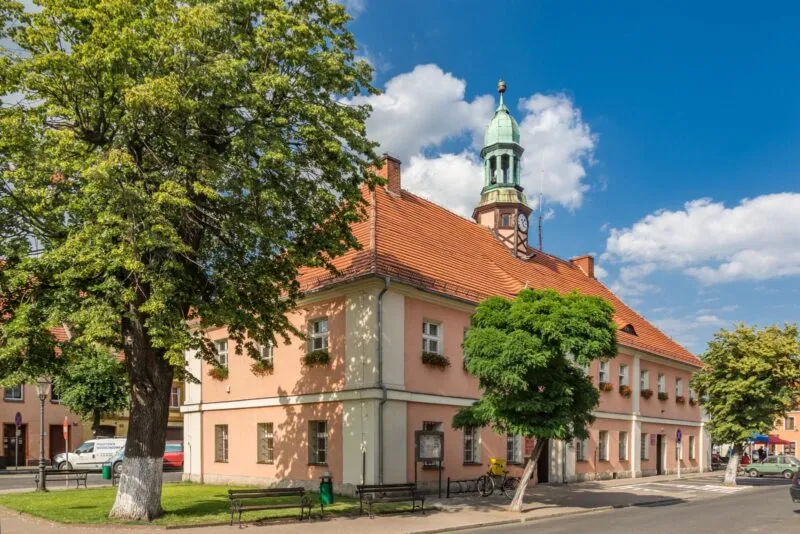Słoneczne zdjęcie zabytkowego ratusza z widoczną wieżą ratuszową
