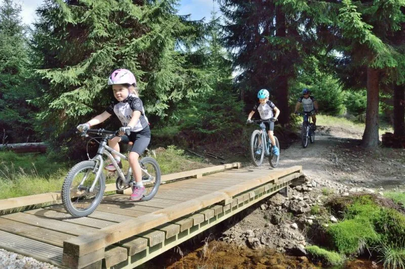 Bambini con il casco in sella a mountain bike attraversano un ponticello di legno su un sentiero nel bosco, superando un tratto irregolare tra gli abeti.