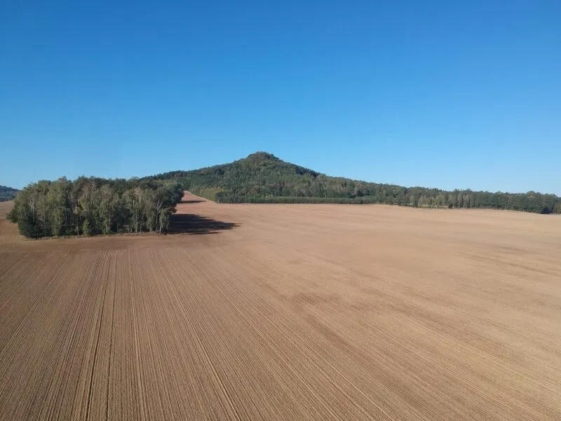 Na pierwszym planie pole, na drugim planie góra obrośnięta lasem, na tle błękitnego nieba.