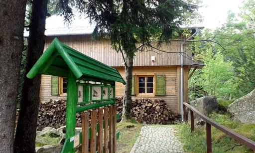 Drewniany domek w lesie, z zielonymi okiennicami i stosem porąbanego drewna ułożonym pod ścianą. Przed budynkiem stoi zielona tablica edukacyjna z daszkiem, ustawiona przy brukowanej ścieżce prowadzącej do wejścia. Otoczenie stanowią drzewa, duże głazy i poręcz z drewnianych bali