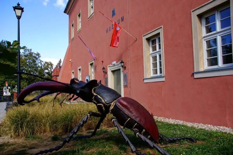 Zdjęcie przedstawia przerośnięty model owada znajdujący się na trawniku przed zabytkowym budynkiem muzeum