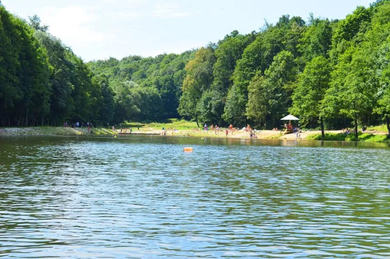 Widok z wody na zalew i plażę otoczoną wysokimi drzewami