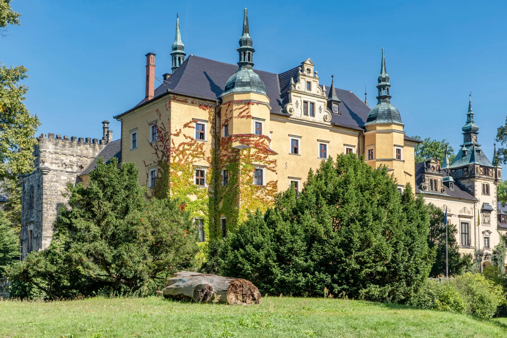 Średniowieczny Zamek w kolorach odcienia żółtego w otoczeniu lasu