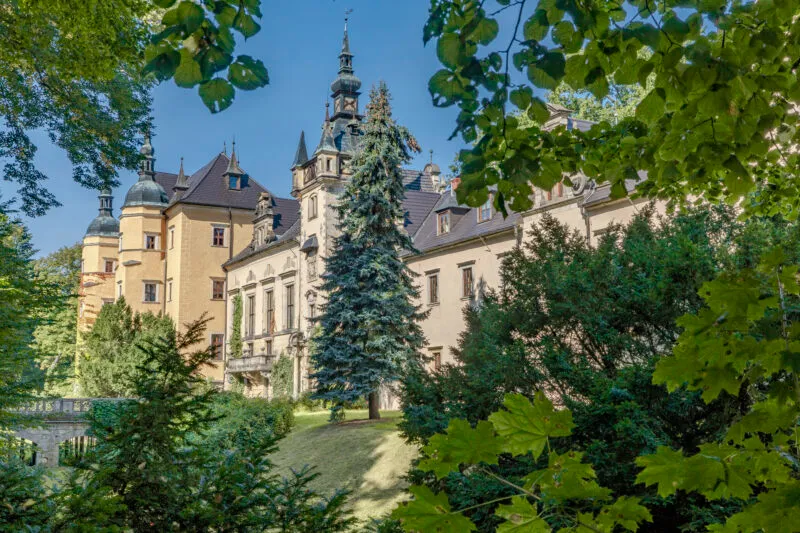 Średniowieczny Zamek w kolorach odcienia żółtego w otoczeniu lasu