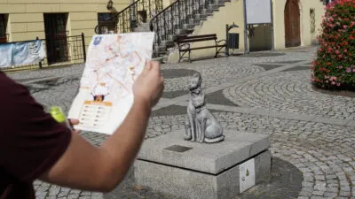 In the center of the photo, you can see a cat sitting on a concrete wall. In the foreground, there is also a man's arm holding a map with a trail marked on it. In the distance, there are stairs and a flower bed.