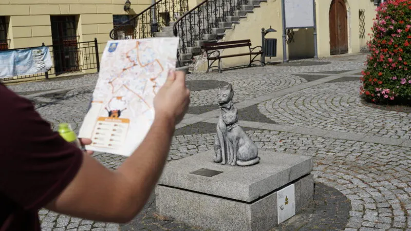 Uprostřed fotografie je vidět postava kočky, která sedí na betonové zídce. V popředí je také paže muže, který drží v ruce mapu s vyznačenou trasou. V dálce jsou vidět schody a květinový záhon.