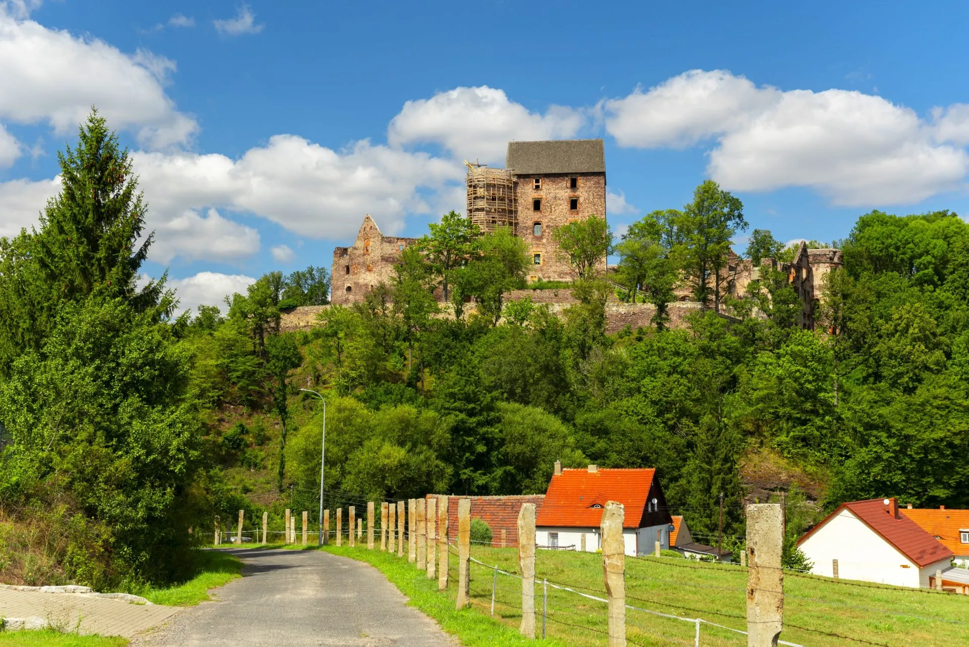 Widok na Zamek Świny z oddali